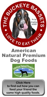 American Natural Premium Dog Foods