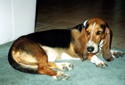 Bessie