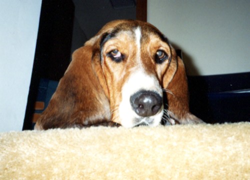 Bessie