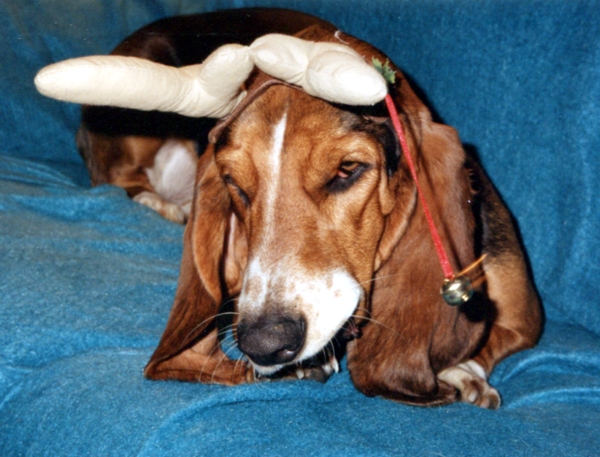 Bessie