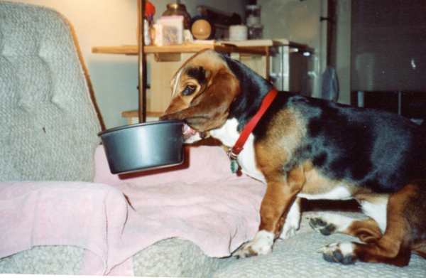 Bessie