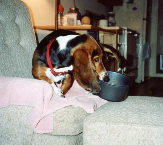 Bessie