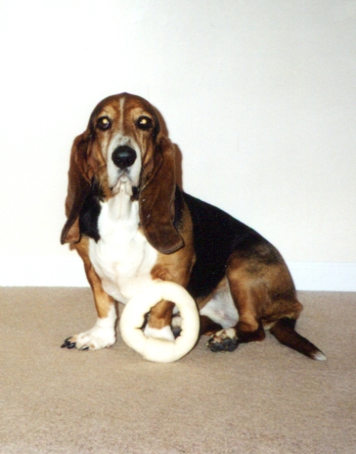 Bessie