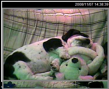 Naps