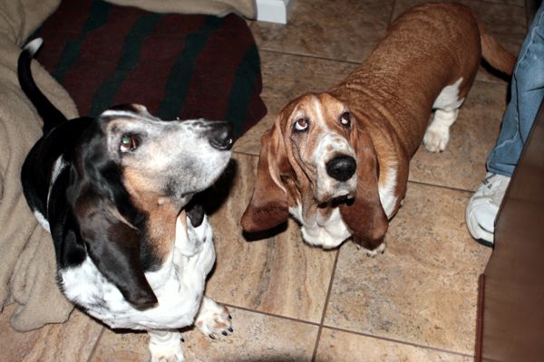 Cookies from Gramma Jane and Gpa Tom 2014