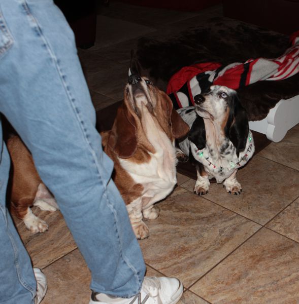 Cookies from Gramma Jane and Gpa Tom 2014