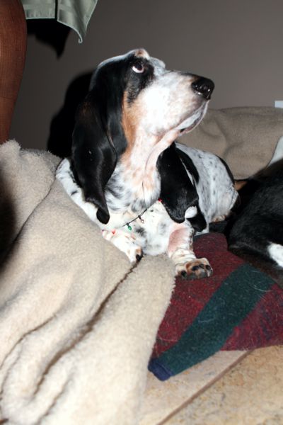 Cookies from Gramma Jane and Gpa Tom 2014