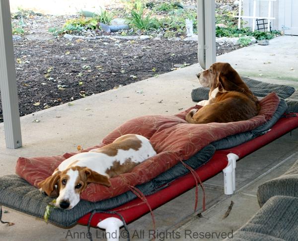 Naomi and her boyfriend, Noogers