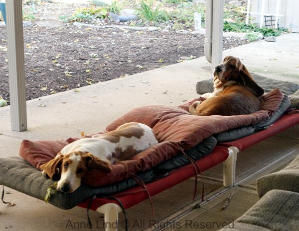 Naomi and her boyfriend, Noogers