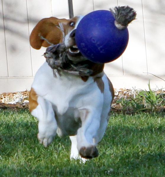 Naomi with jollyball