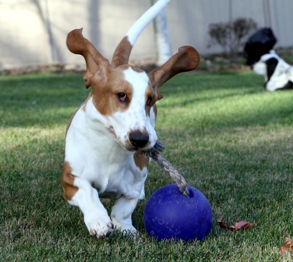 Naomi with jollyball