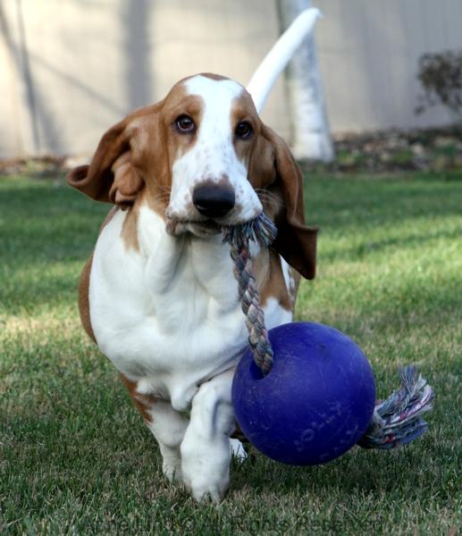 Naomi with jollyball