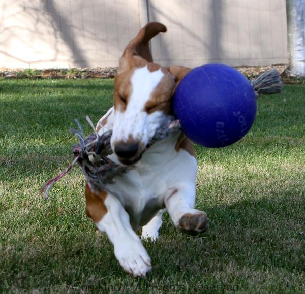 Jolly Ball fun with Naomi