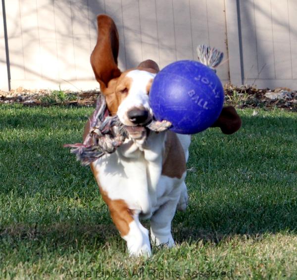 Jolly Ball fun with Naomi