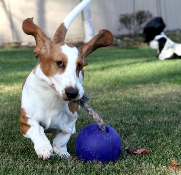 Jolly Ball fun with Naomi