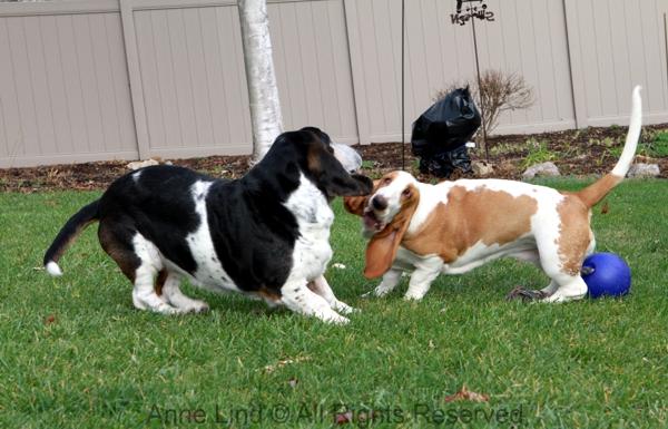 Normie vs Naomi in a game of fun