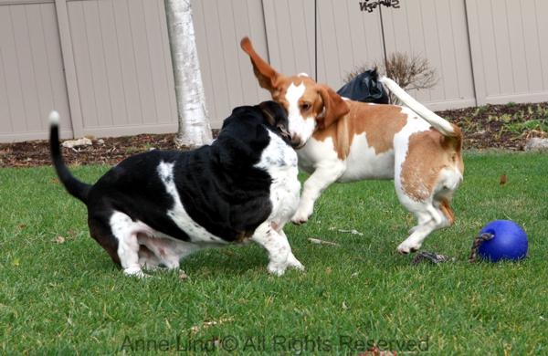 Normie vs Naomi in a game of fun