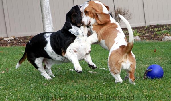 Normie vs Naomi in a game of fun