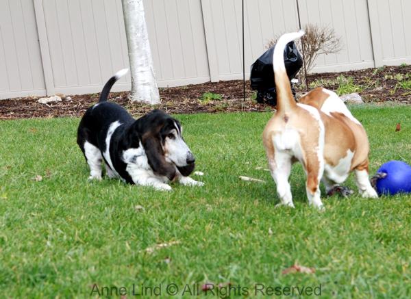 Normie vs Naomi in a game of fun