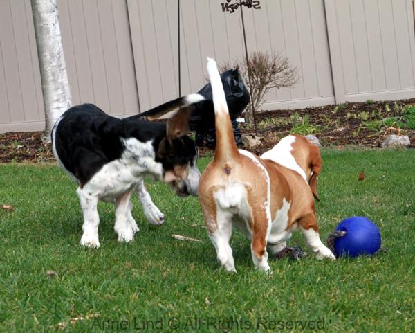 Normie vs Naomi in a game of fun