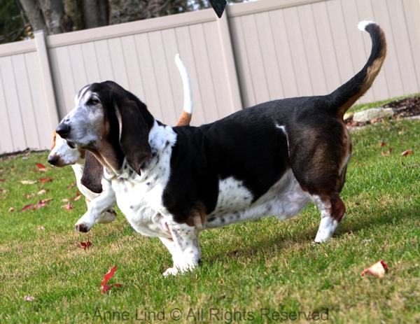 Normie vs Naomi in a game of fun