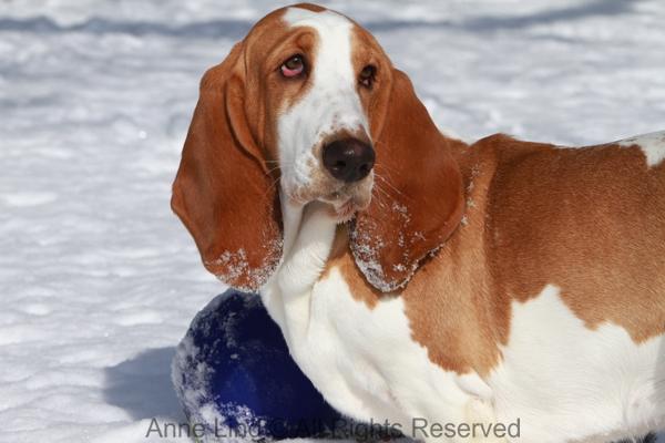 Naomi and Norm with jollyball