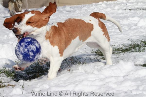 Naomi and Norm with jollyball