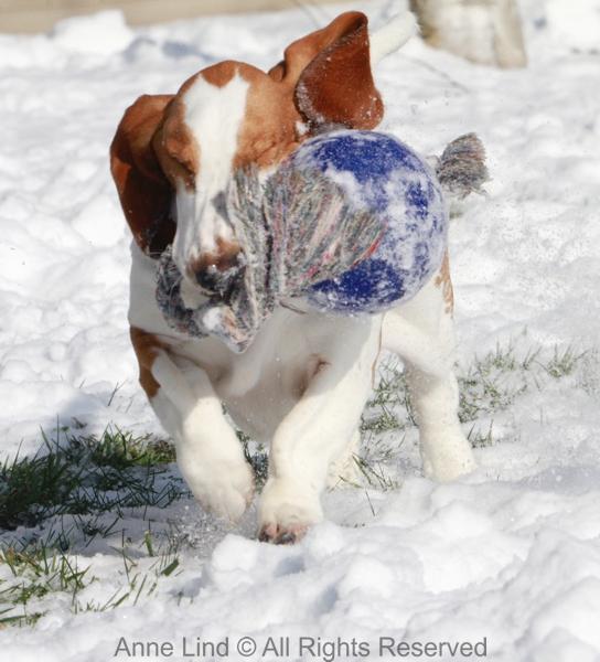 Naomi and Norm with jollyball