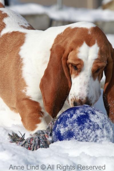 Naomi and Norm with jollyball