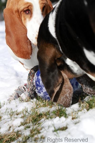 Naomi and Norm with jollyball