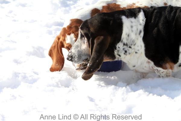 Naomi and Norm with jollyball