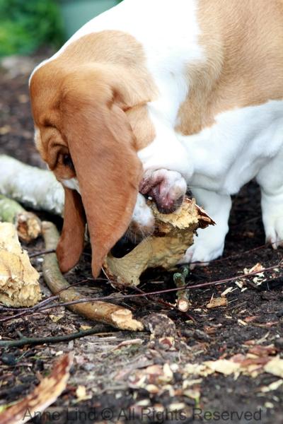Naomi and her sticks