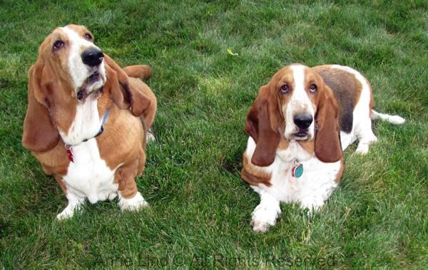 Marley and her mom, Mable