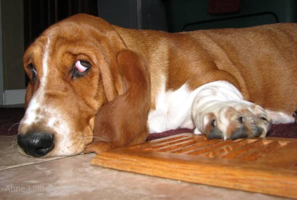 Noogent and heater vent