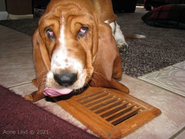 Noogent and heater vent