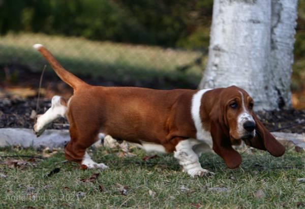 Noogent back kicking