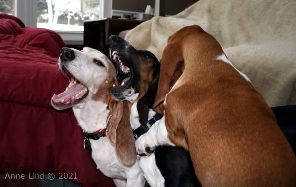 Noogent smashing Norm and Gretch