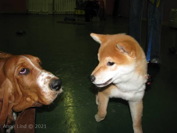 Noog graduation - kindergarten class