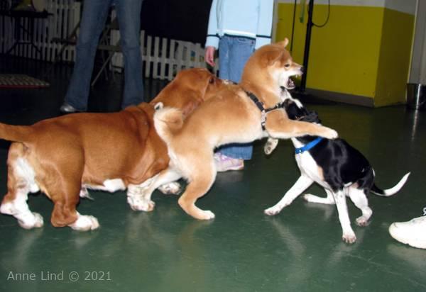 Noog graduation - kindergarten class