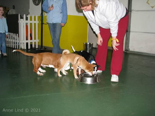 Noog graduation - kindergarten class