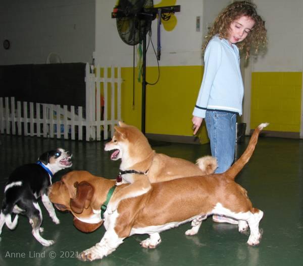 Noog graduation - kindergarten class