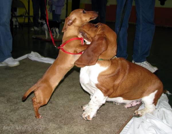 Noog graduation - kindergarten class