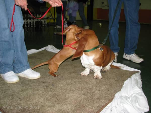 Noog graduation - kindergarten class