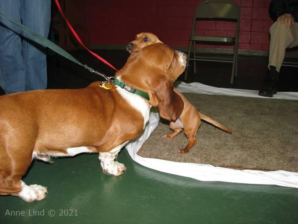 Noog graduation - kindergarten class