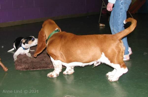 Noog graduation - kindergarten class