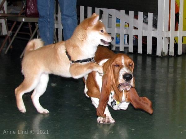 Noog graduation - kindergarten class