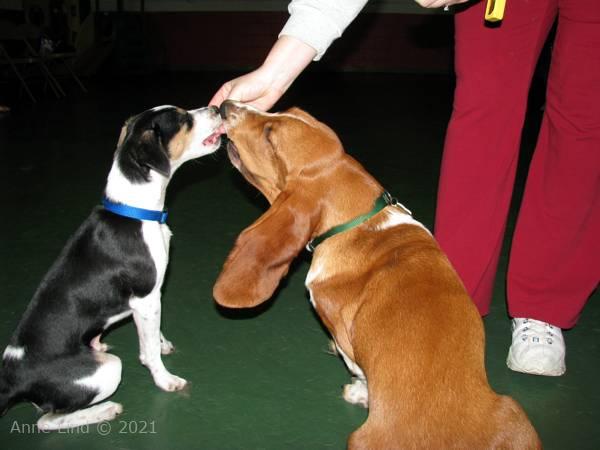 Noog graduation - kindergarten class