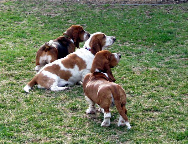 Hoover's 13th bday party 03-23-08