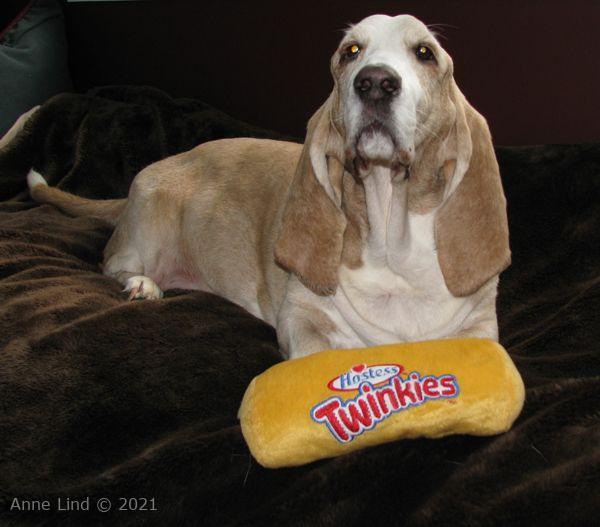 Hoover's 13 birthday party 03-23-08