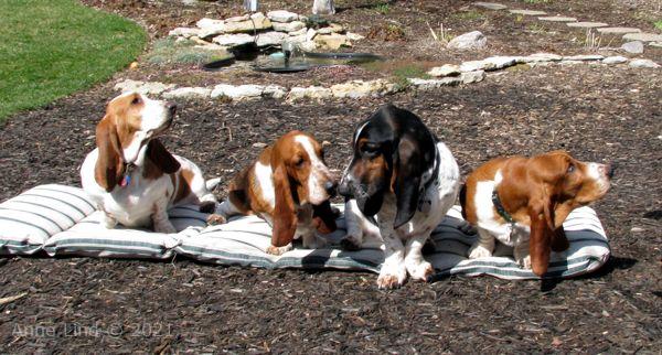 Hoover's 13th bday party 03-23-08